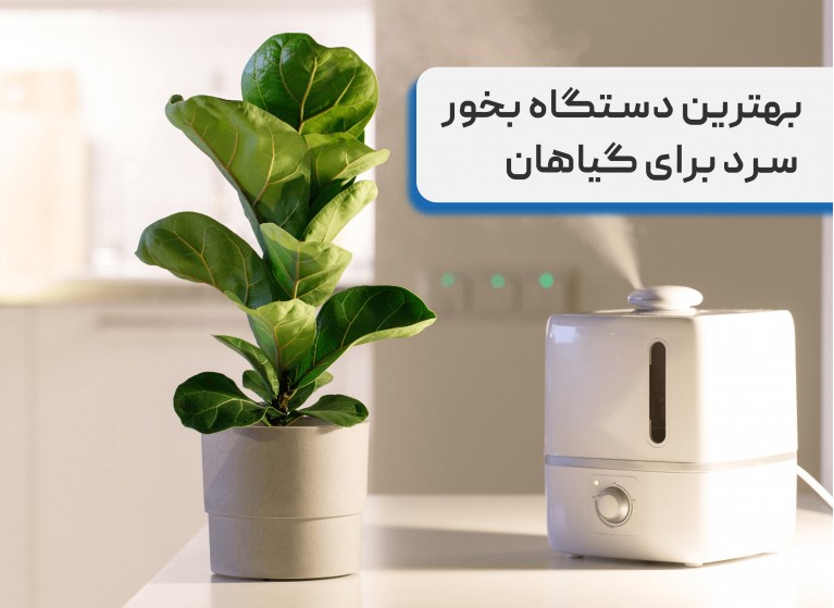 بهترین دستگاه بخور سرد برای گیاهان (تاثیر دستگاه بخور روی گیاهان آپارتمانی)